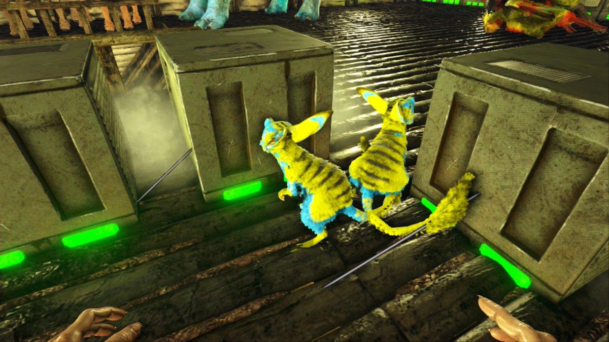 あふろ イキマース Ark イベントカラーのトビネズミ同士交換しませんか 先ほど双子ちゃんが産まれちゃって こちら黄色 水色 画像参照 です 興味ありましたら声掛けて下さーいヽ A ﾉ Ark トビネズミ