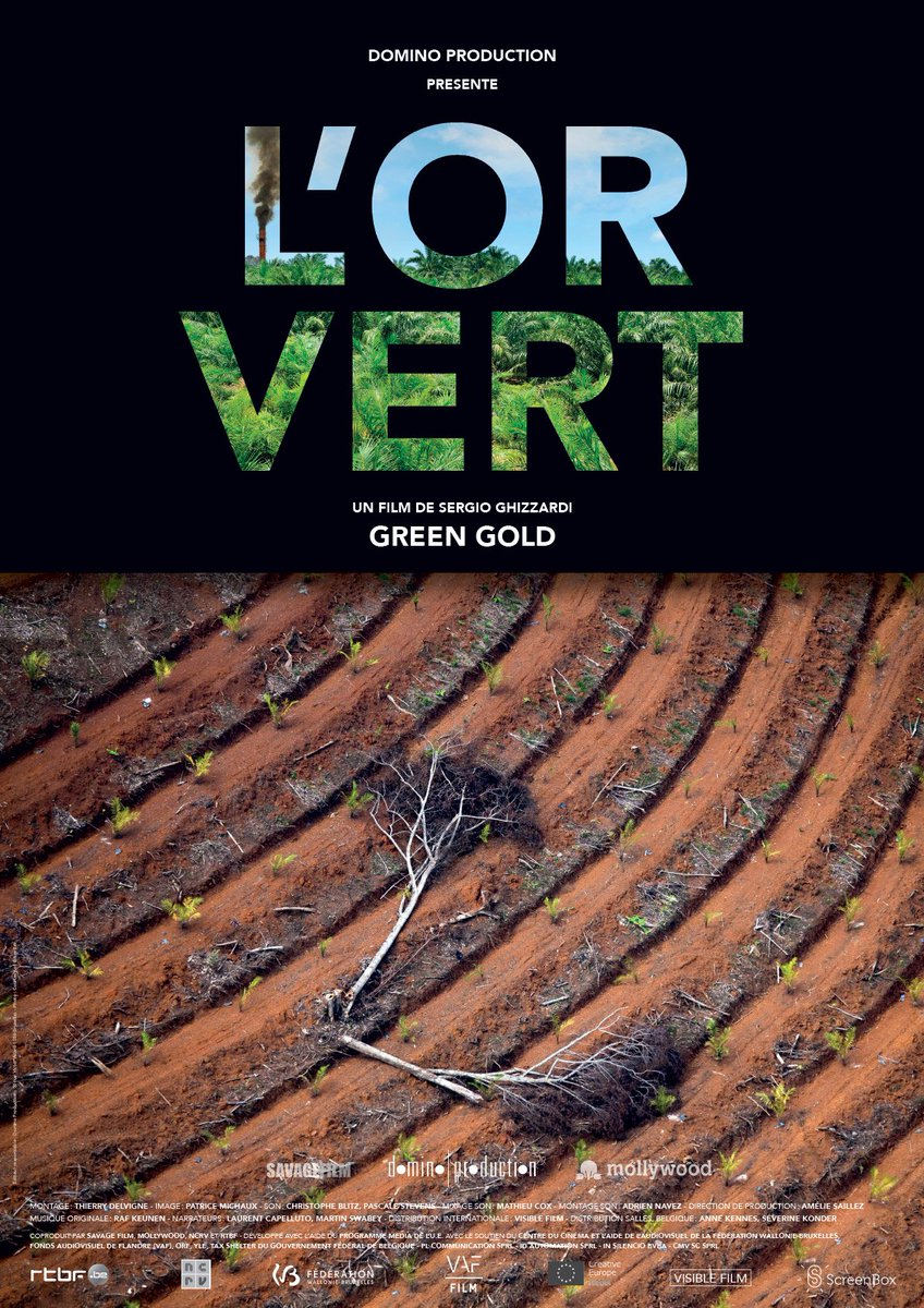 CinemaCCJF's tweet photo. Ce Me. 6 juin à 20h: Tous ce qui brille n'est pas en or...

"L'or vert" documentaire de Sergio Ghizzardi 

+ Snack équitable + Rencontre avec le réalisateur et Mr Stéphane Desgain du @cncd111111 https://t.co/wEjLK2LLon