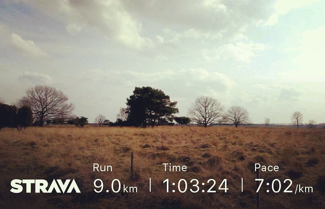 Run Yoga Recharge Weekenden tweet media