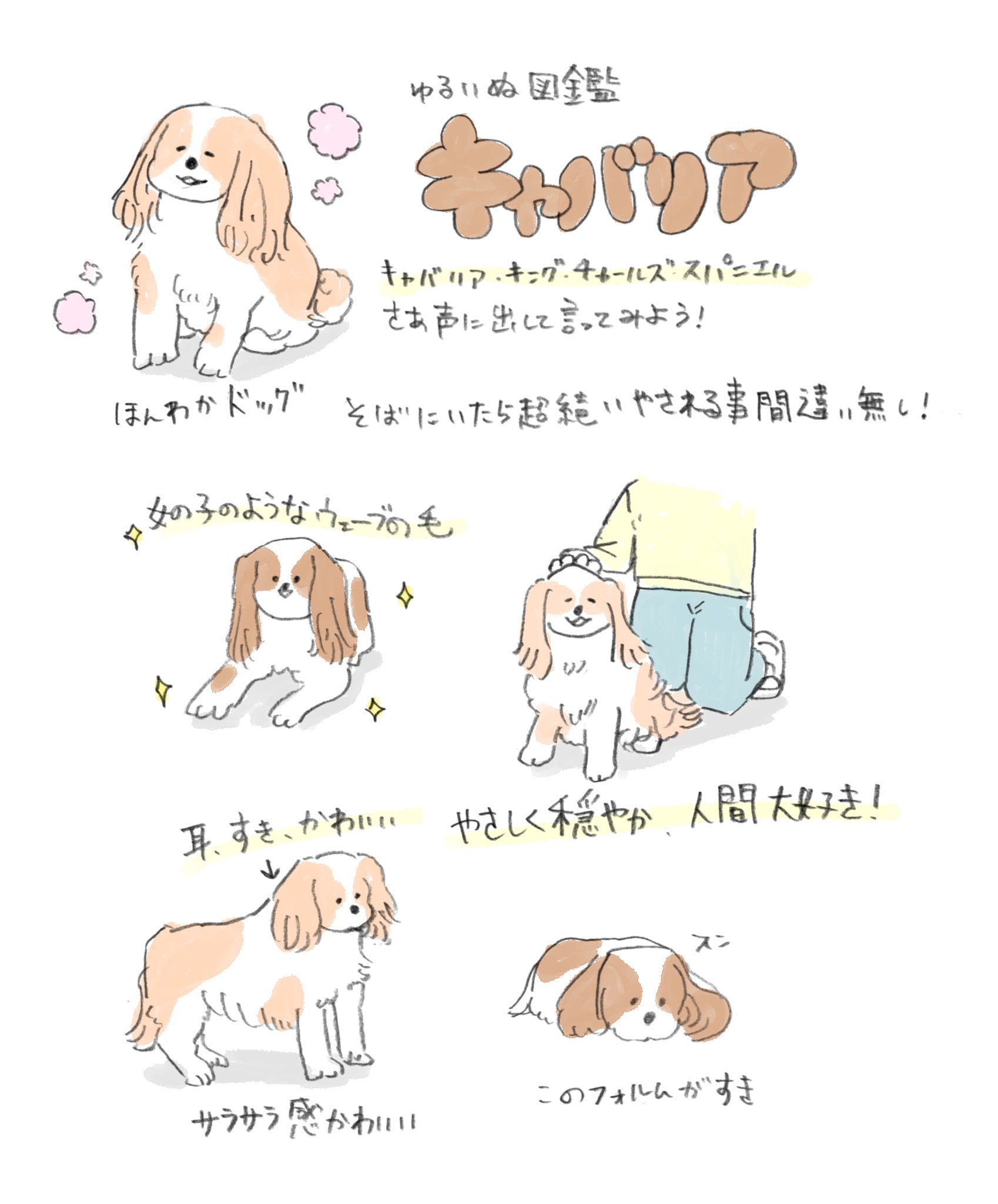 ゆるいぬ図鑑 Twitter