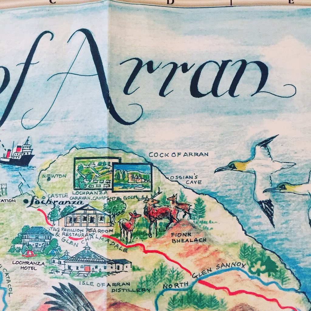 ToBarnacle's tweet image. Just some holiday snaps.