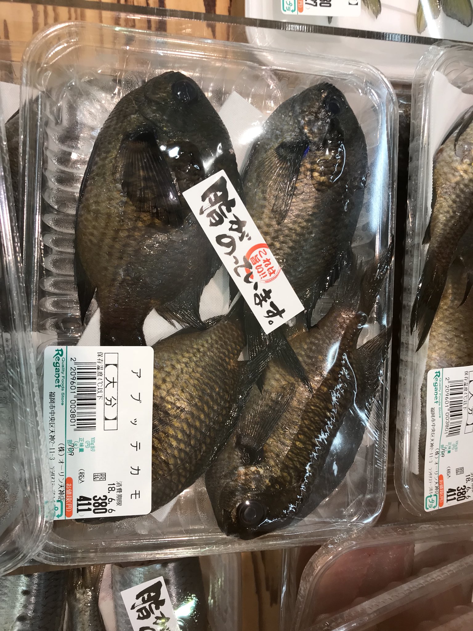 丸山宗利 Maruyama 福岡名物アブッテカモ スズメダイ 全国的に食べ ないけど 福岡では人気すぎて減ってしまった魚 長めに焼いて鱗ごと食べるのが美味しい T Co Tcwyc9yqht Twitter