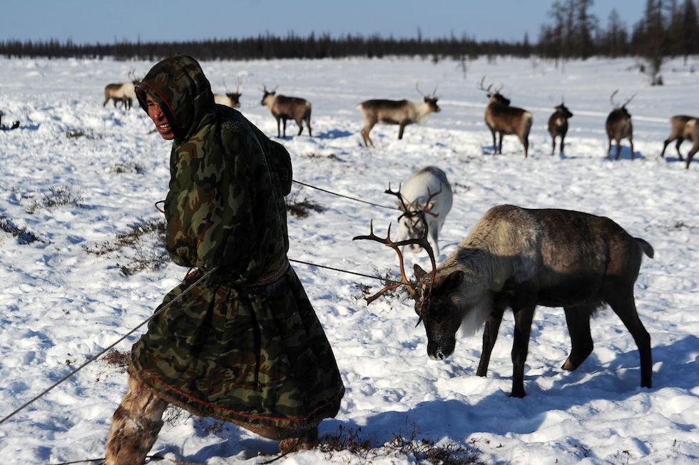Belle foto di allevatori di renne
ilpost.it/2018/06/04/fot…