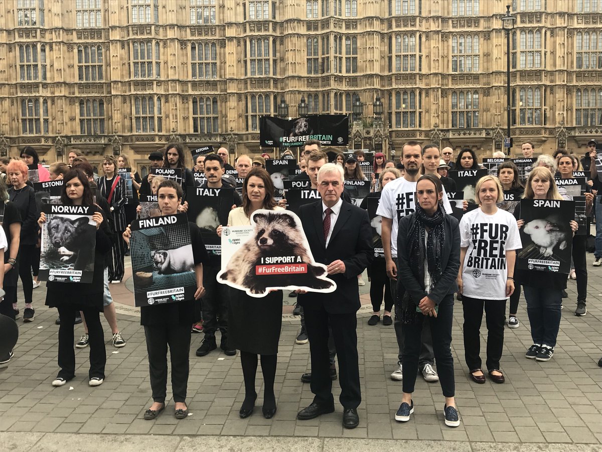 FOURPAWSUK's tweet photo. FOUR PAWS UK joined over 100 people outside Parliament this morning to show support for #FurFreeBritain. At 4.30pm today, the government will debate a ban on the sale of fur in the UK. There’s still time to contact your MP & ask them to attend the debate!: https://t.co/nXJSuKaoMH https://t.co/jBbClIx1Nk