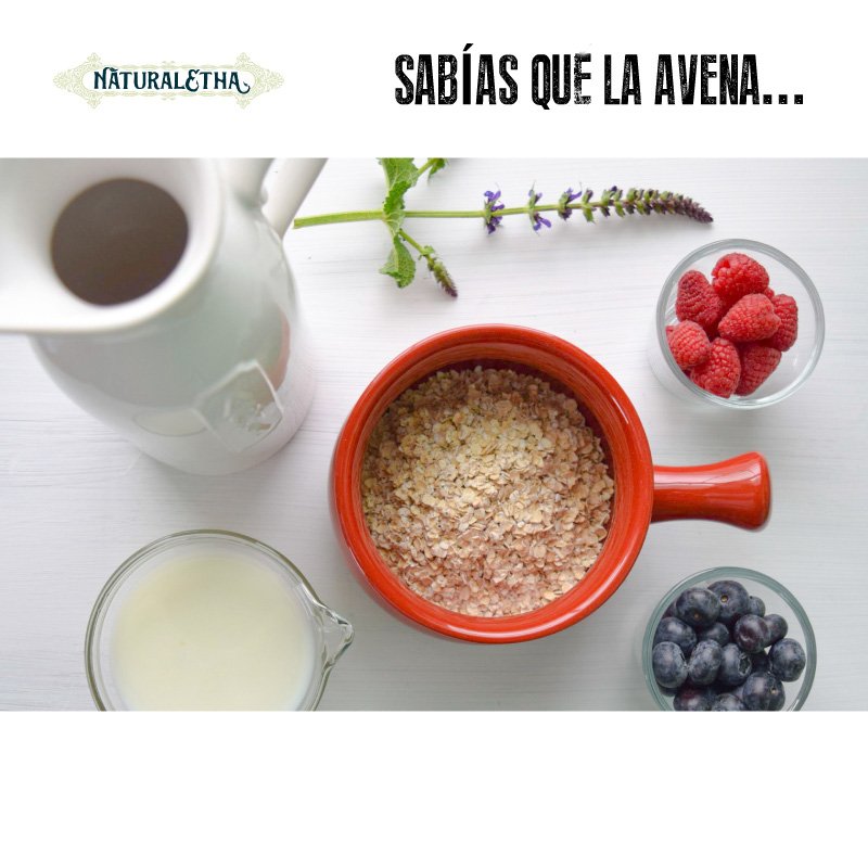 naturaletha's tweet photo. ▪▪ LA AVENA ▪▪
Este súper alimento tiene un montón de propiedades: controla los niveles de azúcar en sangre, es depurativa, anticancerígena y buena para el corazón. ¡Dinos cómo prefieres tomarla!
#Avena #AGranel #Naturaletha #EatClean #Healthy https://t.co/TNTKrZt6UH