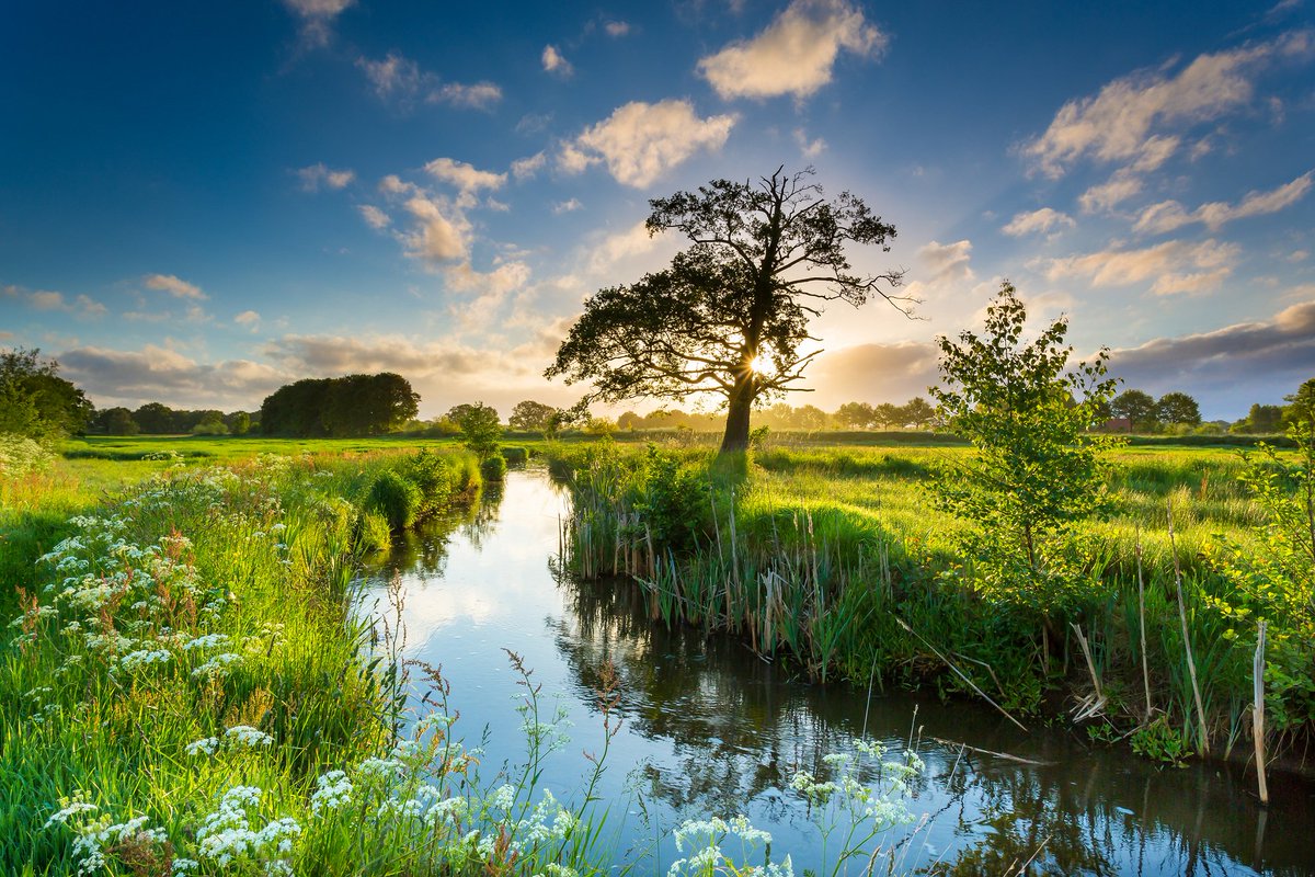 InfoWesterwolde's tweet photo. Prachtig verhaal #Westerwoldepad, parel in Zuidoost-Groningen #Westerwolde https://t.co/OUwXye0MhL https://t.co/6Qqpz2jvPb