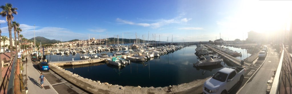 Prof Jim Wild tweet media