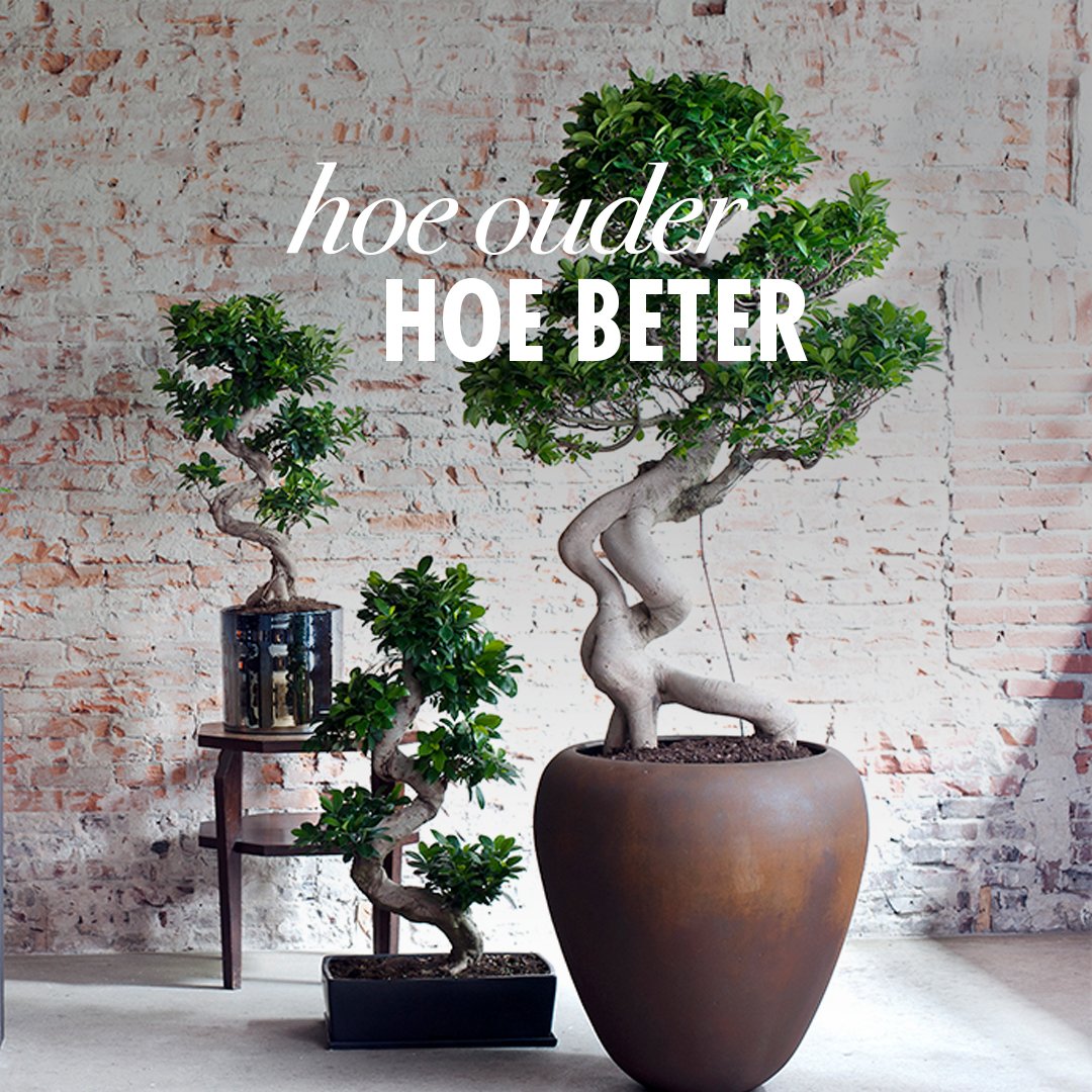 Het is vandaag Nationale Opa en Oma dag! Geef je allerliefste grootouders een extra stevige knuffel.