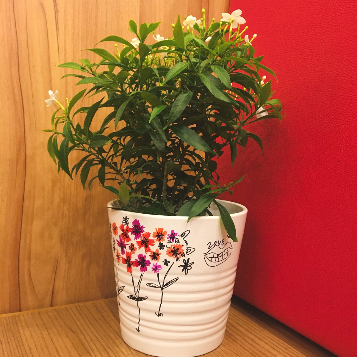 ต้นไม้ของเตนล์ 🌱 tweet media