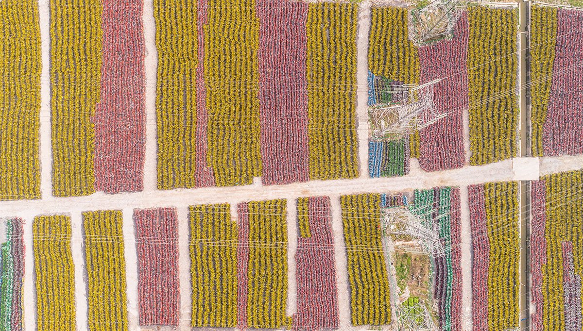 This is not a field of tulips, 

but a drone's-eye-view of tens of thousands of unused share bikes lined up in a field near Shanghai.

theatlantic.com/photo/2018/03/…