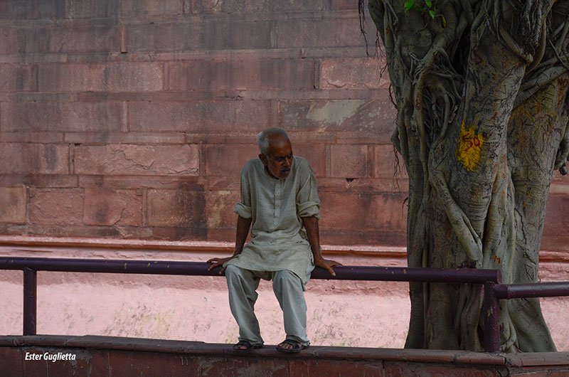 Recorriendo el Fuerte Rojo de Delhi #Asía #AustindeBordeaux #ChattaChowk #ChhotaRangMahal #Coram #Delhi #Diwan-I-Khas #Diwan-i-Am #FuerteRojodeDelhi #KhasMahal #LaIndia #LaMezquitadelaPerla #LalQila #Mahar-i-Bihisht-Hammam #MotiMasjid #MumtazMahal #Naqqar b2s.pm/rBMr6M