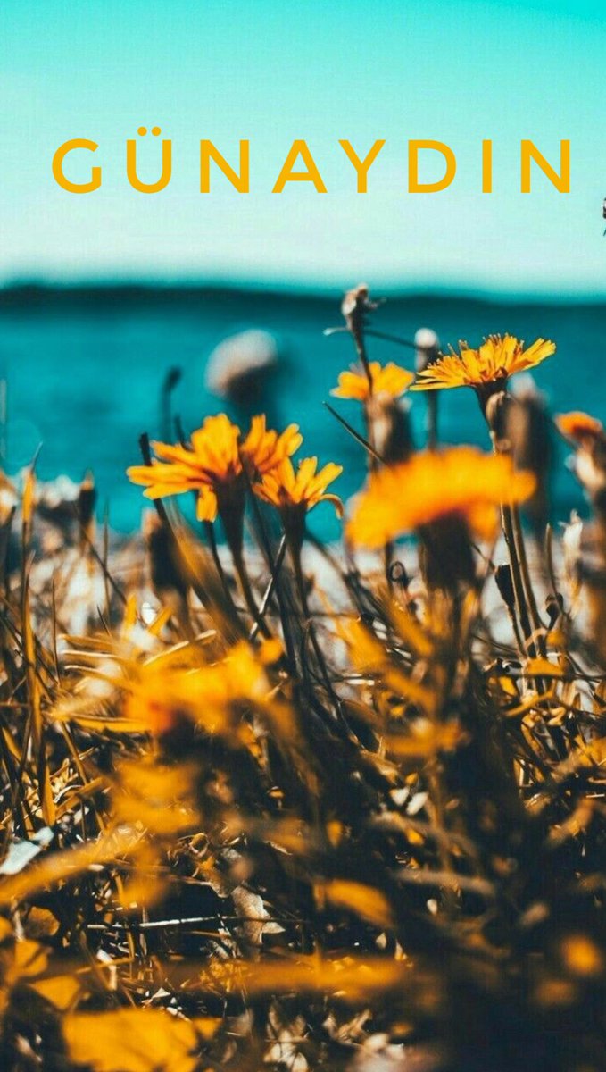 nerdeindirim's tweet photo. Günaydın ☕️💐 #günaydın #gunaydın #cumartesi #gün #hafta #goodmorning #bonjour #buongiorno #buenosdias #gutenmorgen #доброеiутрo #早安 #instagood #instalike #instamoment #instadaily #instamorning #photography #flowers https://t.co/4H682vDZK9