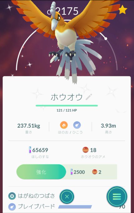 ホウオウ色違いのtwitterイラスト検索結果 古い順
