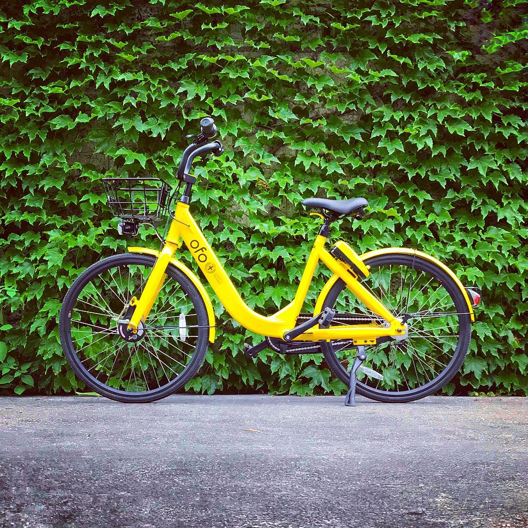 ofo tweet media