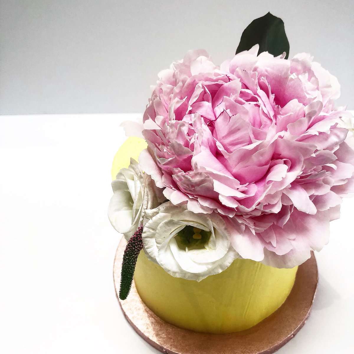 FlossyBakery's tweet photo. Happy Monday y’all! Wishing you a wonderful week ahead 💕 https://t.co/VcG9RuzP1z