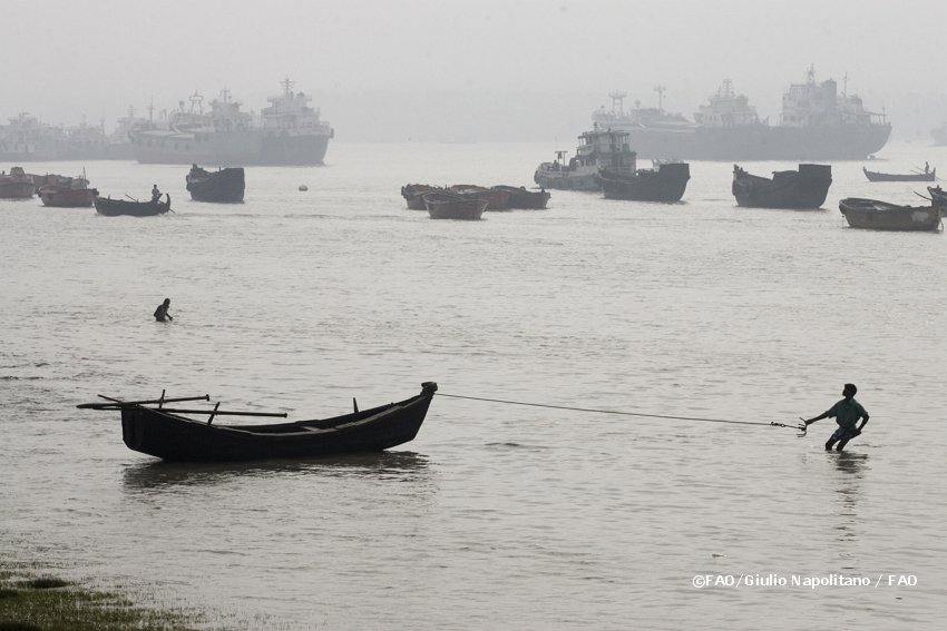 Tomorrow is the Intl day for the Fight vs Illegal, Unreported &amp; Unregulated (#IUU) fishing. 🐟

#Illegalfishing robs the world’s oceans of 26mln tons of seafood/year, severely affecting the livelihoods of fishers &amp; contributing heavily to food insecurity. ow.ly/Fj9t30kjX37