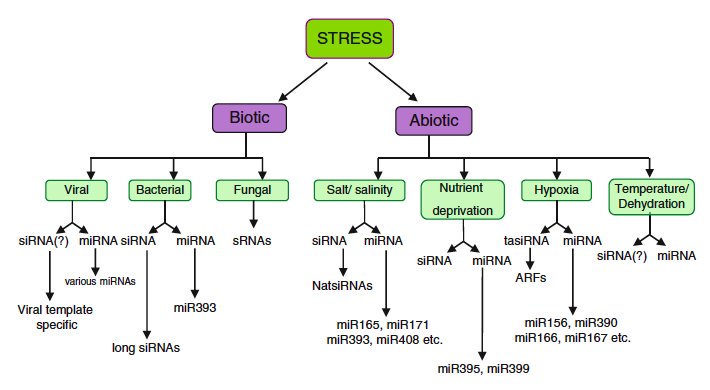 study guide to the american psychiatric