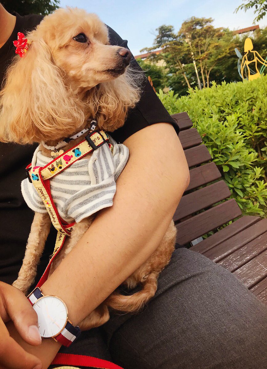 Jackson_lee_99's tweet photo. ❤️🧡💛💚💙💜

#犬
#散歩
#韓国
#韓国人
#仲良くしてくれる人RT
#韓国人でも仲良くしてくれる人RT 
#韓国好きな人と繋がりたい 
#韓国好きな人RT 
#気になった方お迎えにいきます https://t.co/Vw99p9USIl