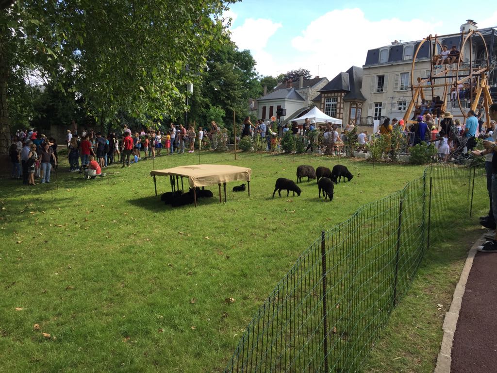 Ecomouton's tweet photo. La @VilledeVerneuil était en fête ce week-end et nos moutons aussi.
Merci aux habitants qui ont proposé des clichés de nos moutons pour le concours photo. #ecopaturage #natureenville https://t.co/NisA2nf9TH