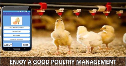 Download m-farmer app from play store and get a good poultry management system play.google.com/store/apps/det…