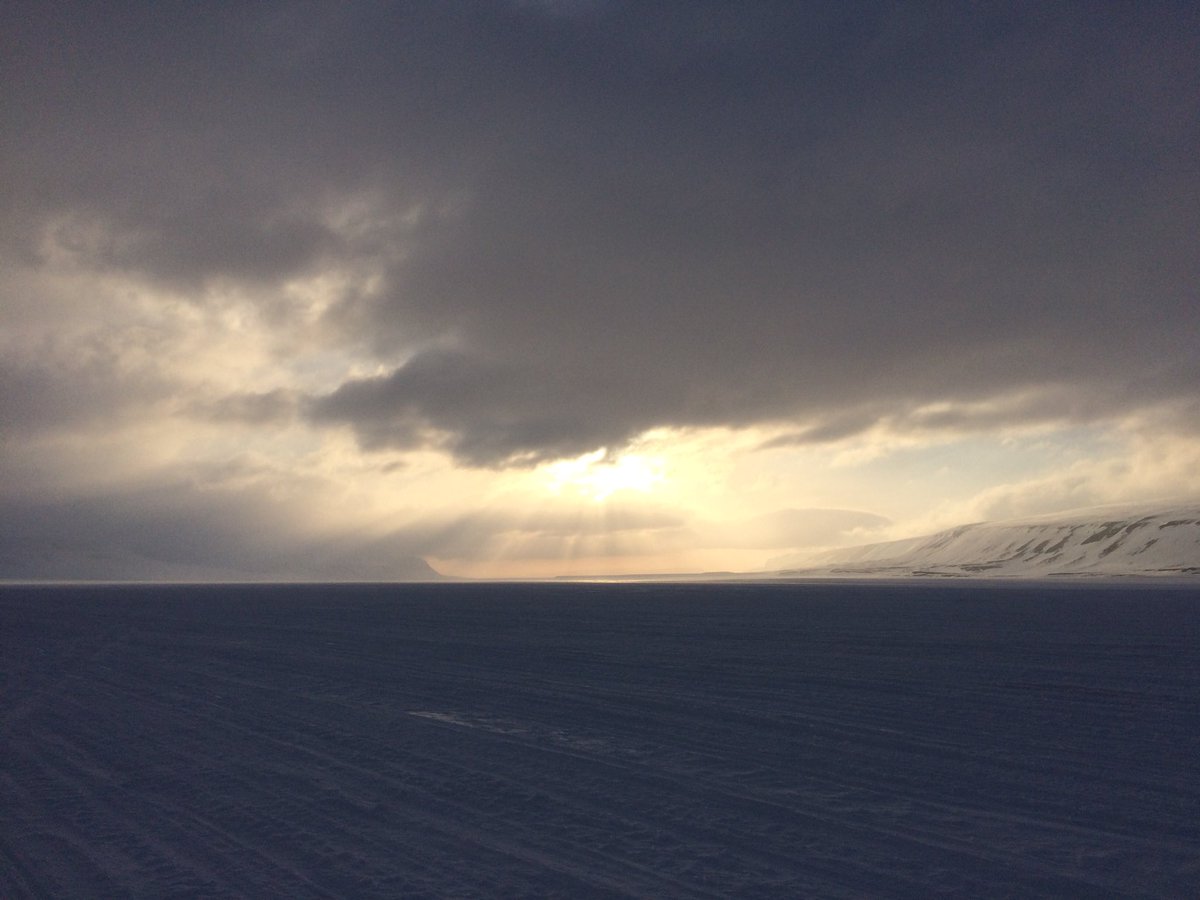 H. Anderson-Elliott (@henrypolarbears) on Twitter photo Brilliant trip to #Svalbard during May! Some fantastic footage for the <a href="/HBMfilm/">The Search For the Polar Bear (Documentary)</a> project, and some exciting progress for my PhD research <a href="/scottpolar/">Scott Polar Research Institute</a>! Check out searchforthepolarbear.com/1st-project for some of the photos! #polarbear #Arctic #Documentary Brilliant trip to #Svalbard during May! Some fantastic footage for the <a href="/HBMfilm/">The Search For the Polar Bear (Documentary)</a> project, and some exciting progress for my PhD research <a href="/scottpolar/">Scott Polar Research Institute</a>! Check out searchforthepolarbear.com/1st-project for some of the photos! #polarbear #Arctic #Documentary