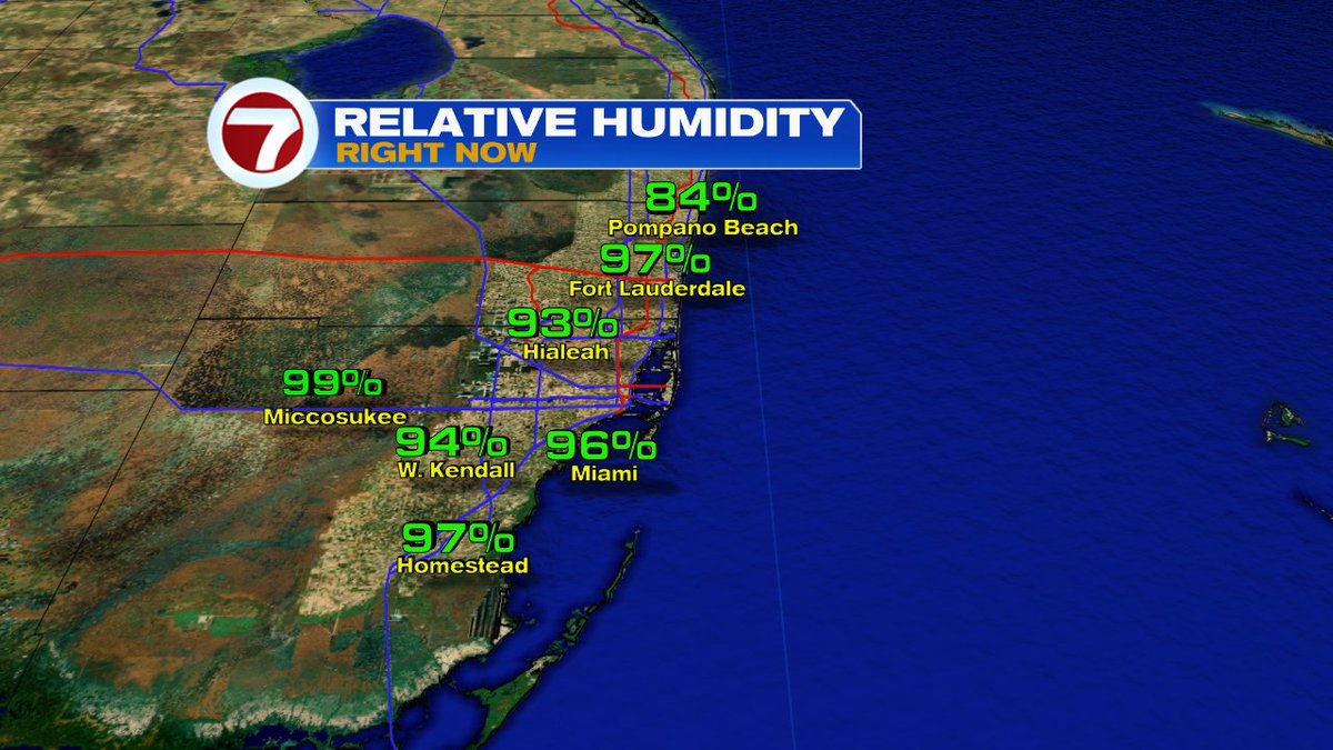 As soon as you step outside the door, it will feel steamy... The humidity is high! <a href="/wsvn/">WSVN 7 News</a> <a href="/7Weather/">7 Weather</a>