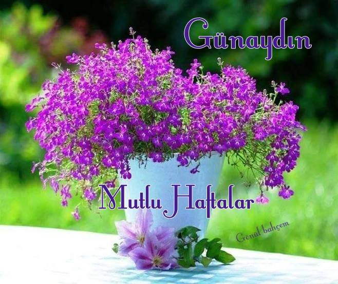 <a href="/zeugmasauna/">Zeugma Sauna</a> her daim hizmetlerini sunmakta.