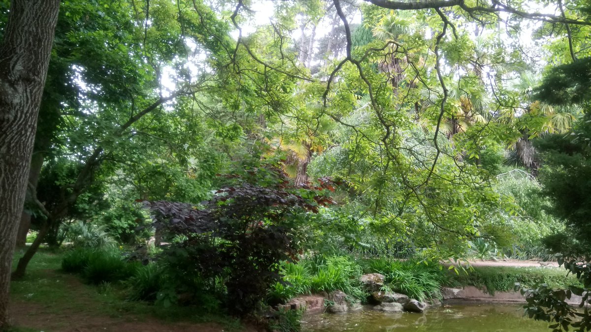 AndrewBrazier1's tweet image. #Devon 🇬🇧 far more than just great #beaches #GreatDevonDays #DevonDay  🌿 @BoostTorbay 🌊