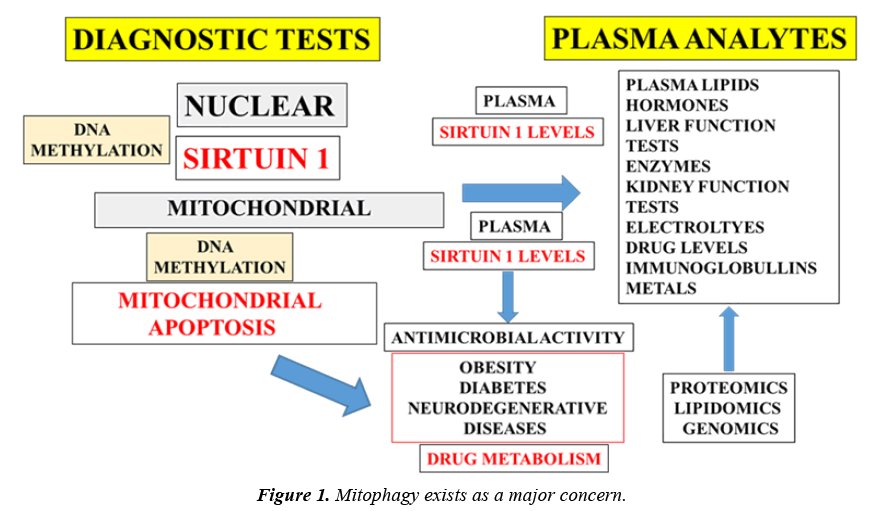 ClinicalPathol's tweet photo. #Clinical  chemistry  in  public   health   care   has  become   of  considerable importance to the global community and is now a #multibillion dollar #industry. 
https://t.co/OGSe9cxC9Y https://t.co/86Rj2Ea84g