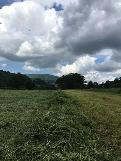 Busy weekend taking first-cut at home. Using the new Bon Silage fit G inoculant supplied from <a href="/ARN_Home/">Advanced Ruminant Nutrition</a>.

It combines both Homo- and Heterofermentative lactic acid aacteria that promotes the production of acetic acid and propylene glycol during fermentation: