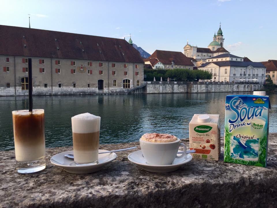 café freddo mit soya- oder haselnussmilch? latte-macchiato mit vanille-geschmack? #cafefreddo #soyamilch #hafebarsolothurn #laktosefrei