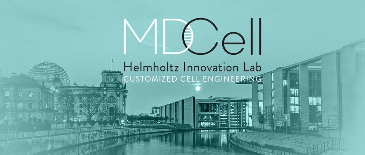 We have a #job offering as the head of MDCell! Full-time (39 hrs/week) for initially 2 years to start at the earliest timepoint possible. Check it out: mdc-berlin.de/career/jobs/he… If you know an ambitious #MolBio #PhD or #postdoc please retweet! #Hiring #career #Berlin <a href="/MDC_Berlin/">Max Delbrück Center</a>