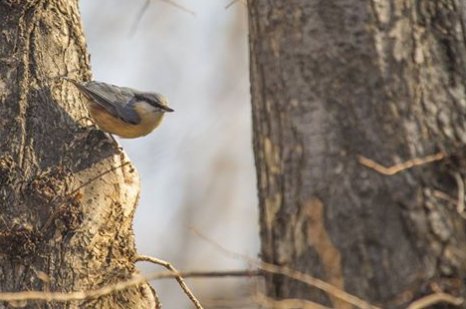 Did you know... there are over 70,000 species of animals, plants, fungi and single-celled organisms in the UK.
We are proud supporters of a number of animal charities, from wildlife conservation organisations to animal welfare organisations.
oneunite.org.uk