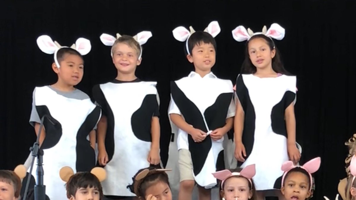 heronspecials's tweet photo. Practice Made Perfect! Three successful Wackadoo Zoo performances last week. The @HeronFirsties were amazing! @salmj1st @msyip_ @MsFeathersFirst @a2Thurston https://t.co/SdHoRsGWzm