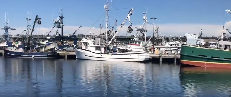 Cool video showcasing the Port of Seattle’s Fishermen's Terminal. ow.ly/6emT30kksme