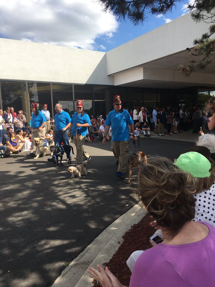 masttherapydogs's tweet photo. #MASTDogs and #MSTDClub dogs celebrating Hospital day at @ShrinersChicago yesterday! #therapydogs #therapydogintraining #mast #masonicassociationofserviceandtherapydogs #dogswithjobs https://t.co/db1Jh3qxEG
