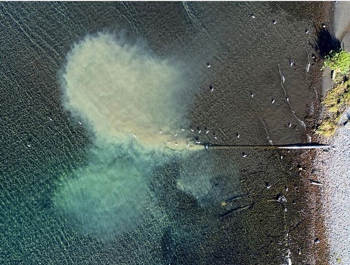 Un alcalde que no camina por su ciudad, no tiene idea lo qué pasa en ella. Esta foto se tomó AYER en Puerto Varas. El lago lo siguen contaminando. Gracias <a href="/muniptovaras/">Municipio Puerto Varas</a> A ver si tenemos que traer a <a href="/LavinJoaquin/">Joaquín Lavín</a> a arreglar esta desgracia.  <a href="/latercera/">La Tercera</a> <a href="/Emol/">Emol.com</a>  <a href="/fotosaereas/">Jovanil Junior</a>