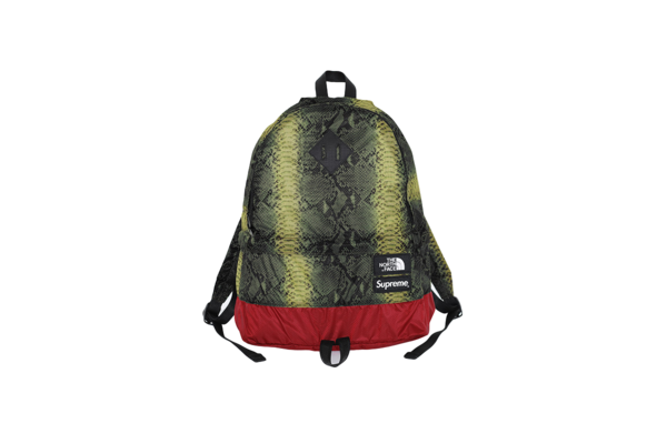 supreme north face snakeskin duffle bag
