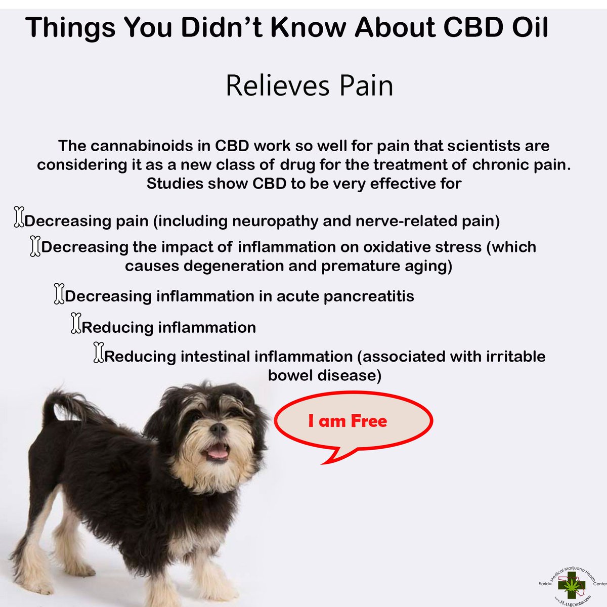 FloridMarijuana's tweet photo. https://t.co/dgmrOue8pj