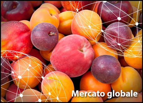 FreshPlaza_it's tweet photo. Focus sul mercato mondiale delle #drupacee
https://t.co/WUCwFyzaBc https://t.co/Z412KwGyz7