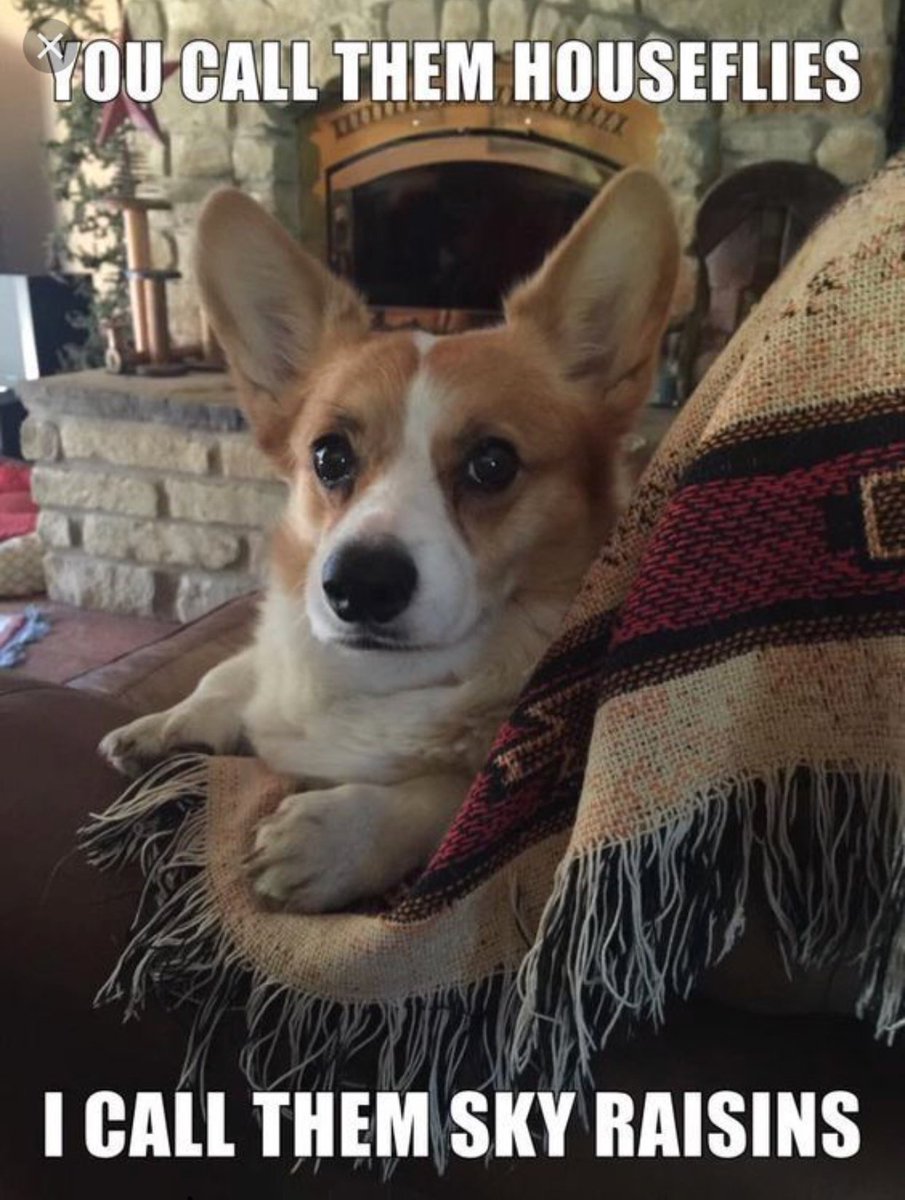 Stephen King (@stephenking) on Twitter photo 