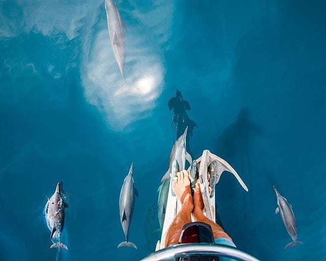 PortDouglas&Daintree tweet media