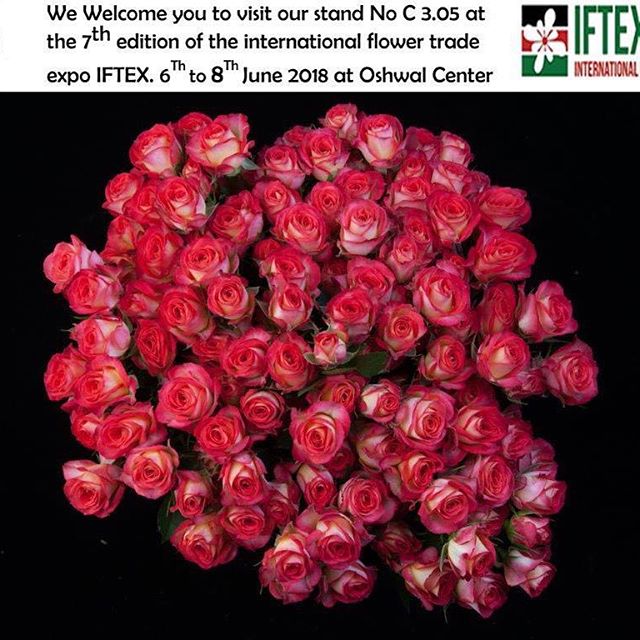 SianFlowers (@sianflowerske) on Twitter photo 