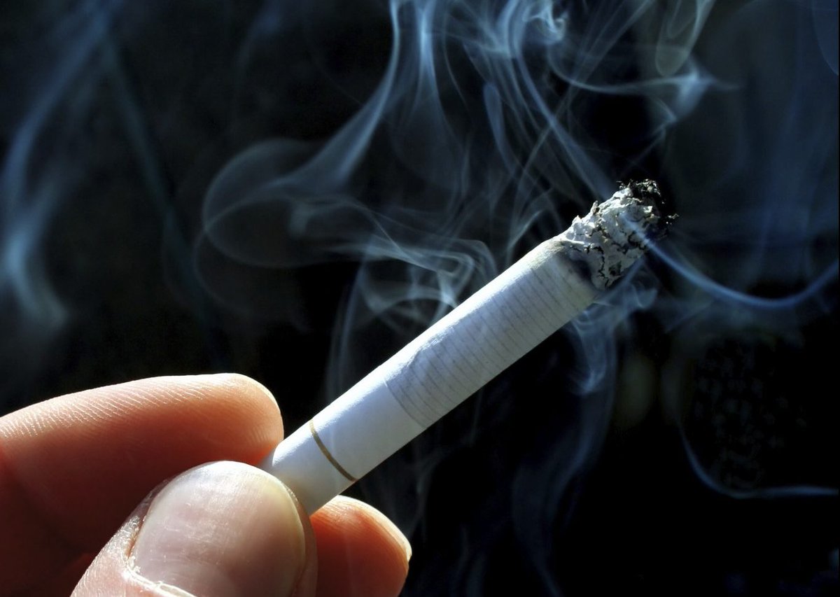 Smoking video no ifs and butts — pic 13