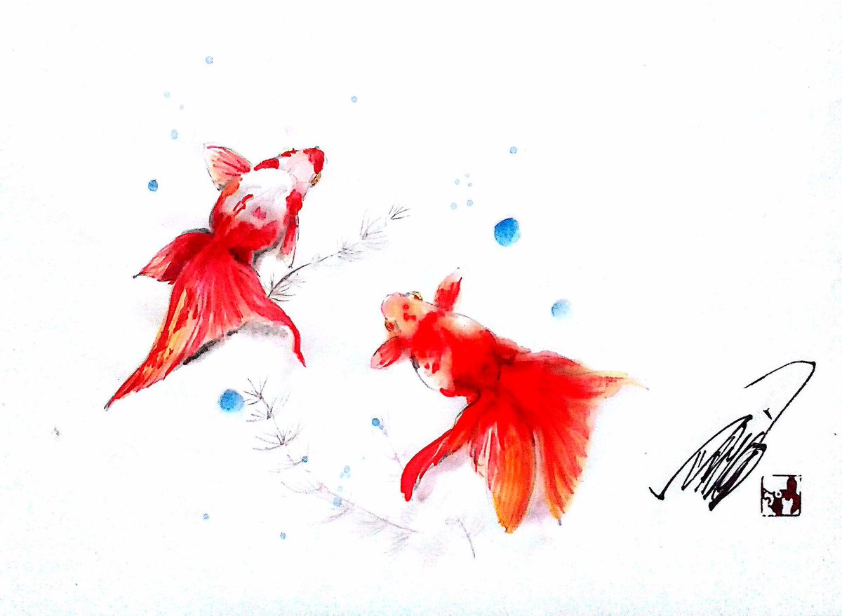 Uzivatel 細川 祥 つらら庵 Na Twitteru 水墨 金魚 いやぁ 夏チックになってきましたなぁ 暑い