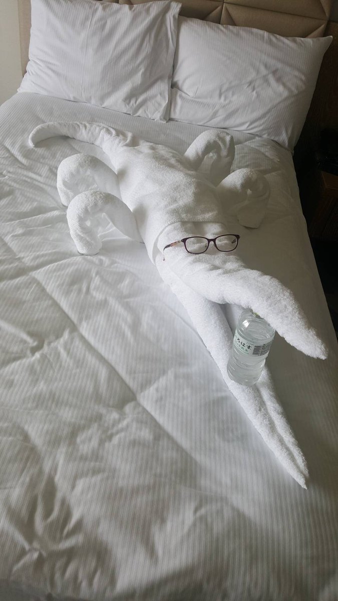 河野外相も思わずツイート かわいい動物から謎の生物まで ホテルの癒されるタオルアートまとめ Togetter