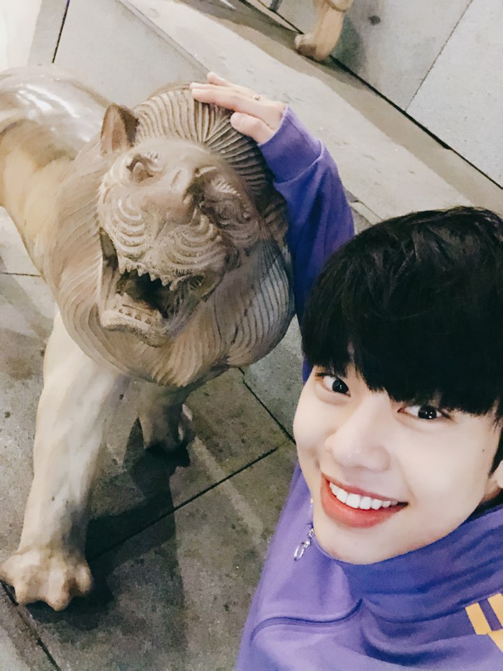 bnmboysofficial's tweet photo. [#MXM/#김동현] 안녕하세요 여러분!! 하루 중 가장 동현스러운 시간에 찾아왔습니다!! 가든스 바이 더 베이에 있던 친구들인데요! 처음엔 귀여워서 쓰담쓰담 해주다가 입이 허전해 보이길래 팔 한쪽 물려주고 왔습니다!! 잘 안빠지니까 조심하세요!! 혹시나 해서요...🦁 https://t.co/tBbQVQOwdH