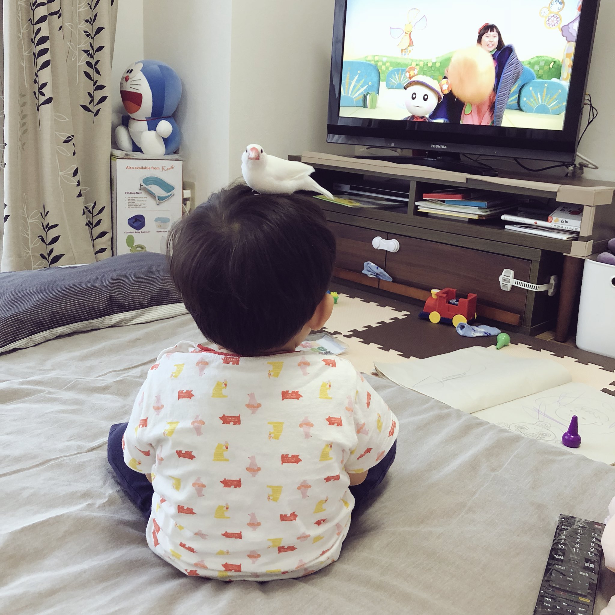 お腹の風邪 Twitter Search Twitter