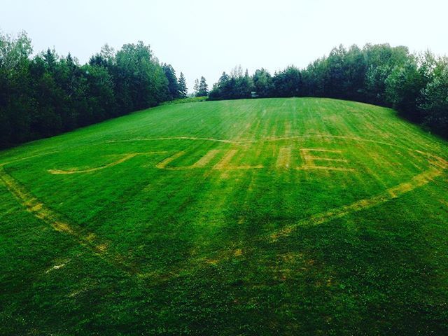julierosvall's tweet photo. Forgot to post this old favourite for #fontsunday #microtomassive yesterday.
.
#mowing #freestyle #love #myhusbandlovestomow https://t.co/LG7zoisQVT https://t.co/Mv8tZXtDT8