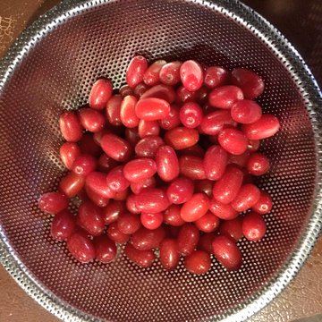 レシピ 田舎の初夏の果実 グミの実 をジャムにしてみたら絶品すぎた セイカの暮らし便り